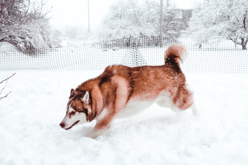 How to Keep Your Spirits Up During the&nbsp;Winter