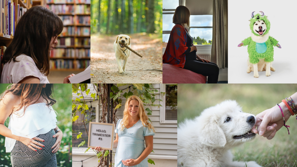 POPSUGAR Fall Features